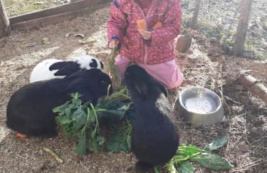 Ponyhof Schöllang - Foto 25