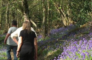 3 Guests - Pet Friendly - Grid Tree-House - Foto 24