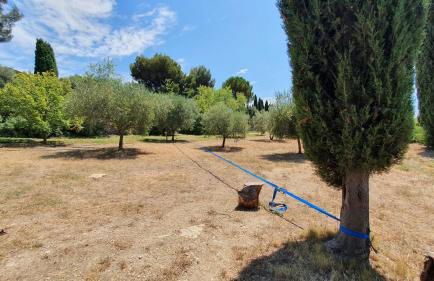 Terres du Baguier - Foto 33