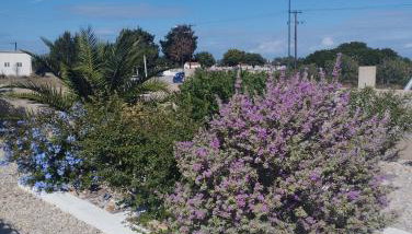 The Garden House - Foto 3