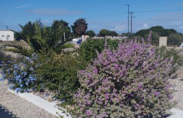 The Garden House - Foto 3