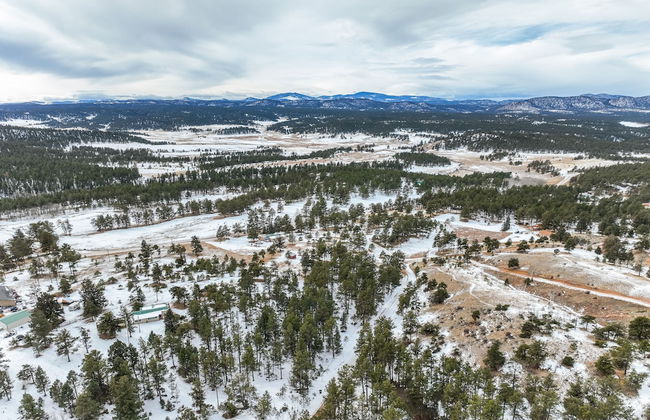 Medieval Manor - Foto 49