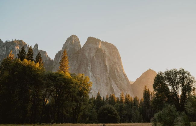 Secluded Mountain Retreat Near Yosemite by Casa Oso - Foto 9
