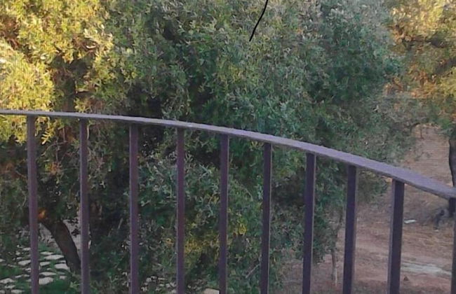 Dimore del Roseto - Foto 51