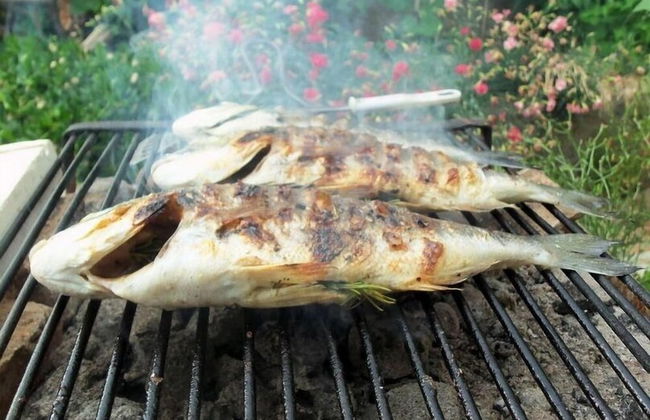 Sea of Eden - Photo 33