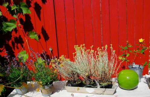 Himmel&Erden - Foto 14