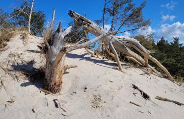 Apartamenty Morska 92 - Foto 55