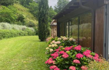 Il Borghetto Andrea Tafi - Foto 7