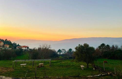 Quinta de Fonte Coberta - Foto 18
