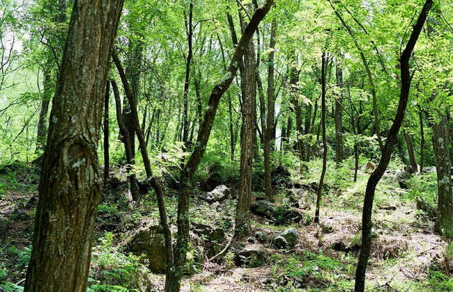 Estancia Grande - Foto 47