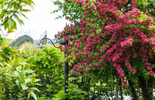 Alba Morus - Photo 33