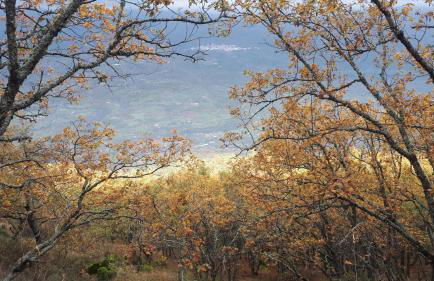 Casa Rural El Regajo Valle del Jerte - Foto 92