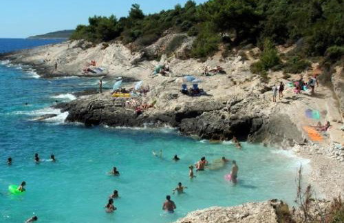 Villa VINE - new luxury holiday house in a green oasis - Foto 77