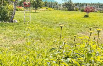 AGRITURISMO DAL PEROTIN - Photo 14