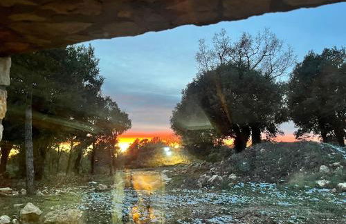 Masiadenjust - Foto 6