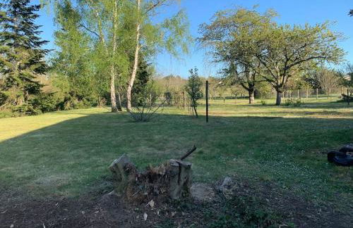 Maison de famille - grand jardin clos - 15mn du zoo de Beauval - Photo 12