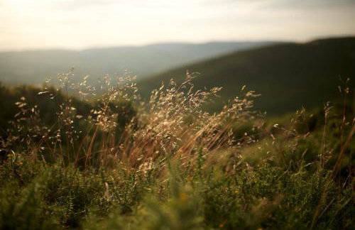Two unique cabins wrapped in beautiful welsh scenery - Foto 79