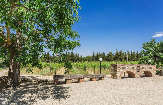 Ormanni nel Chianti Classico - Photo 78