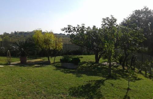 Villa Giuseppe - Foto 24