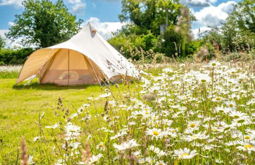 Cowslip at Blancas Bell Tents - Foto 24