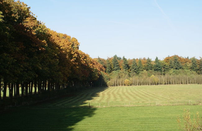 Peaceful Farmhouse in Doorn near Forest - Photo 35