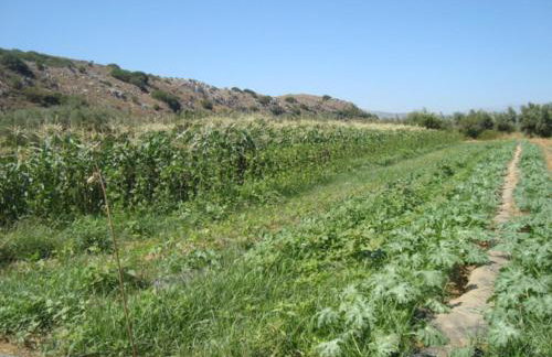 Orgon Farm Village Houses - Foto 25