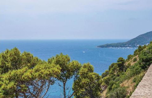 Tenuta Dei Mori - Foto 6