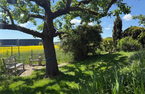 Lieblingsort Susanna - Foto 12