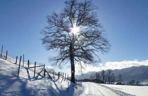 Gemütliche Alpenwohnung in Altenau - Foto 16