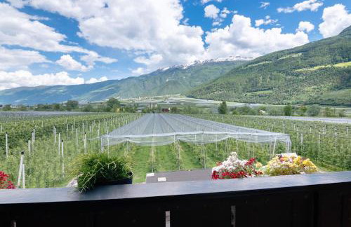 Bauernhof Sackgut - Foto 10