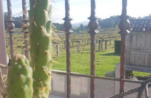 Casa Xesteira Cambados - Photo 15