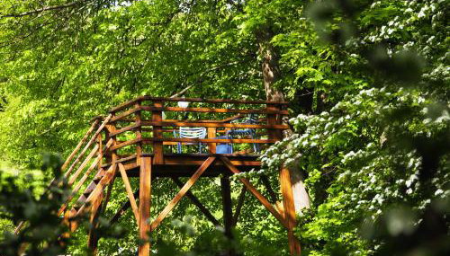 Akacjowe Zacisze - Foto 5, Garden