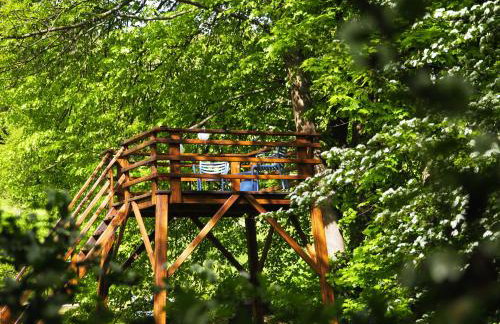 Agroturystyka Akacjowe Zacisze - Foto 80