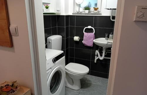 Apartmani Ani - Foto 71
