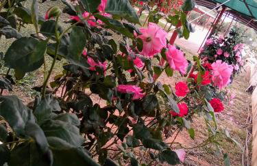 Ktima Anastasia - Foto 7