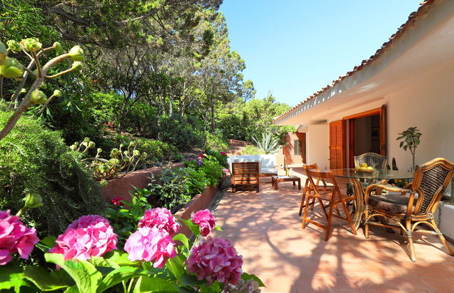 Terre Rare - Foto 21