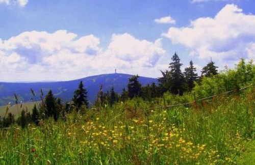 Apartment Fewo Bergkristall by Interhome - Foto 12