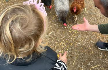 Mas Vermell - Foto 26