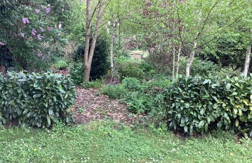 La Forge, Lieu des Chevilloux - Foto 61