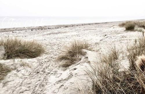 Reetdachkaten in Schuby, Ostsee - Foto 21