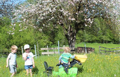 Allgäu Ferienhof Schönberger - Photo 13