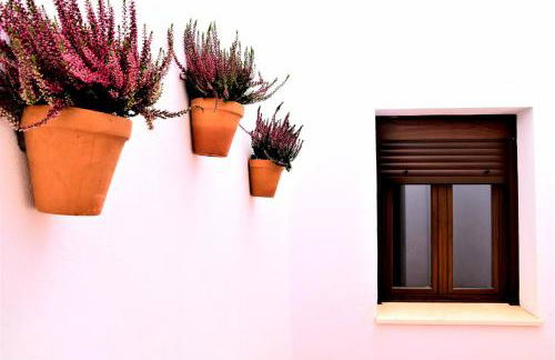 Apartamentos Turísticos Mamelón - Foto 67