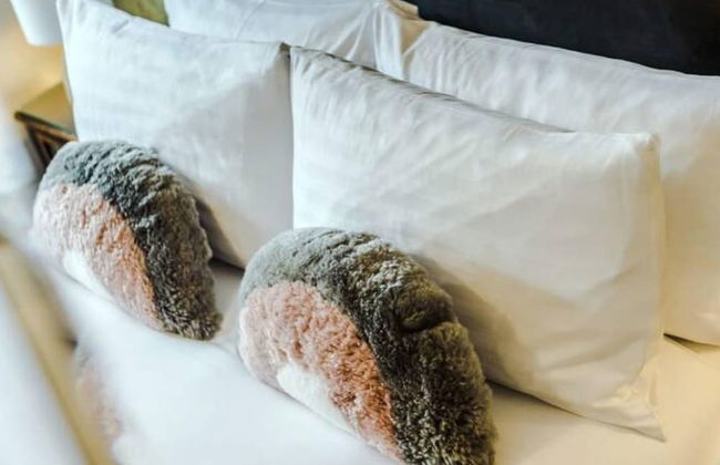 Host Apartments The Pilgrim Coach House II - Foto 24