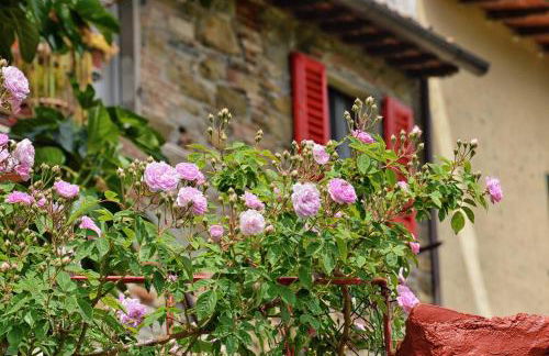 Appartamenti Tortorella - Foto 80