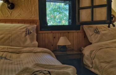 Dandy Villas Agoriani - Chalet Kallisti - Fireplace - Up to 6 - Foto 21