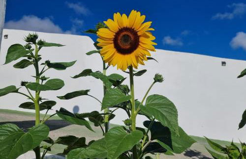 Finca-Las Mariposas 2 - Foto 31