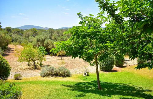 Finca Porto Cristo - Es Bosquet - Foto 48