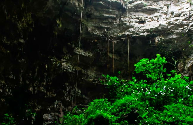 Descente en rappel dans la Sima del Cielo - Photo 1