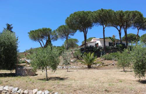 Podere L'Isolella - Foto 8