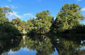 Cabanas Jardim de Tereza - Foto 32